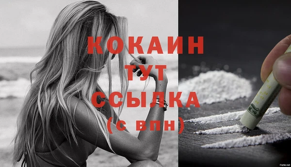 MESCALINE Аркадак