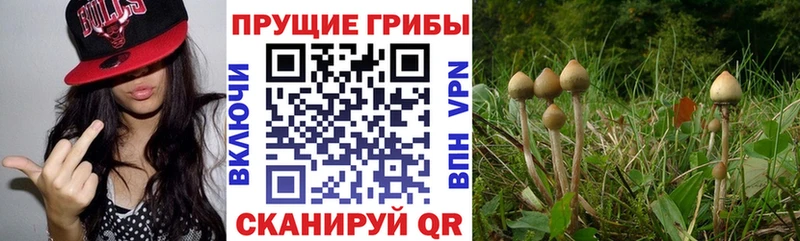 Галлюциногенные грибы MAGIC MUSHROOMS  blacksprut ONION  Баймак 